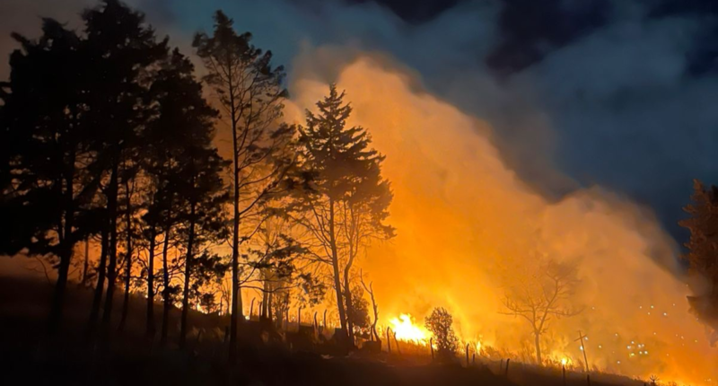 temporada incendios 2025