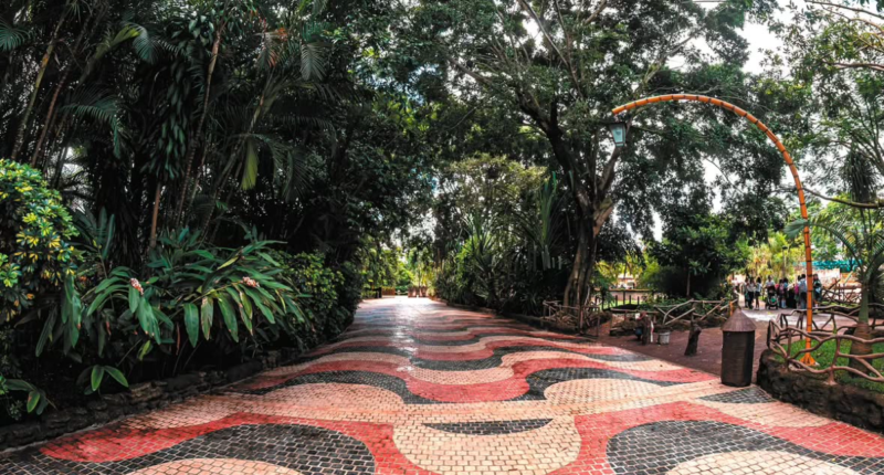 voluntarios 2025 zoologico la aurora