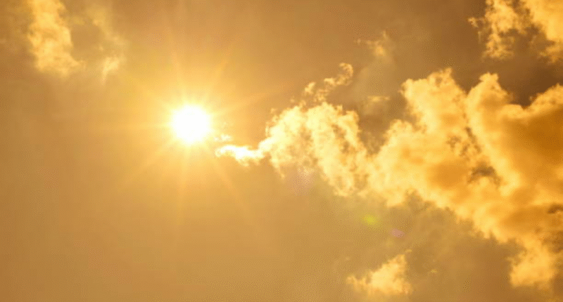 ambiente calido humedo abril 2025