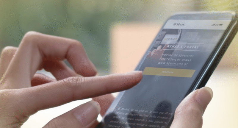 pagos en linea renap 2025