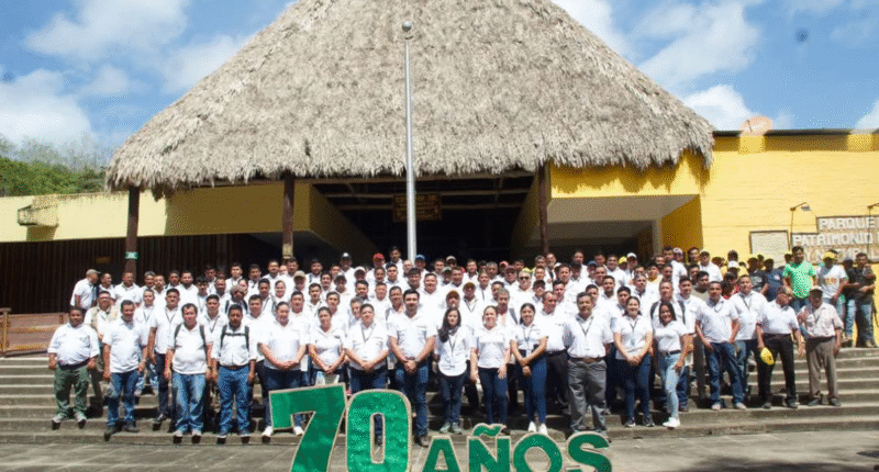 tikal 70 anos creacion 2025