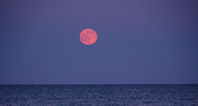 luna de fresas junio 2025