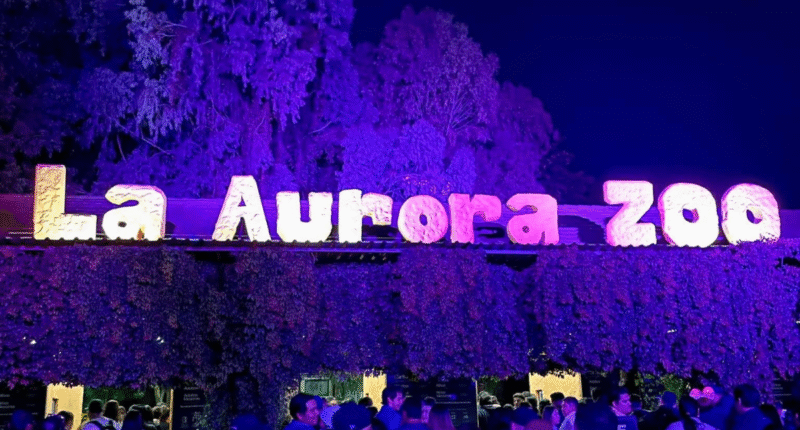 noches luna zoologico la aurora julio 2025
