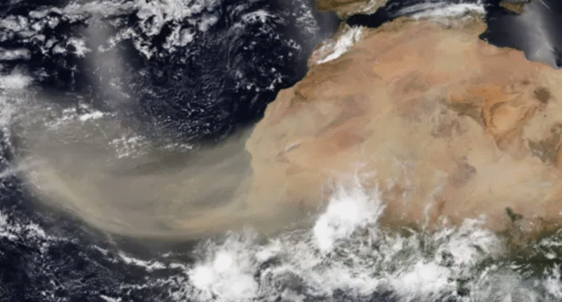 recomendaciones polvo sahara guatemala junio 2025