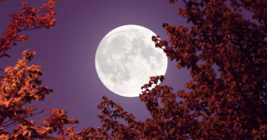 r25IQAEAAAAAAAAAAPBsJkgAAauTjWAAAAAASUVORK5CYII=