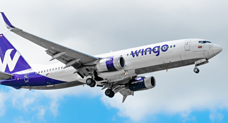 wingo bogota ciudad guatemala ruta 2025