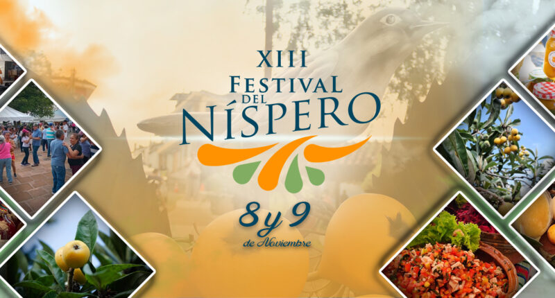 Festival del nispero